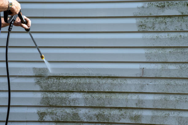 Best Hoarding Cleanup  in St John, MO